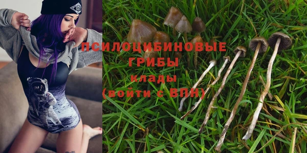 бошки Медвежьегорск