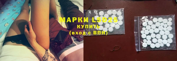 спиды Магас