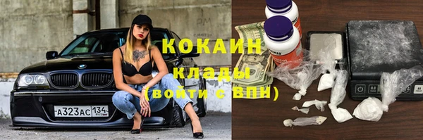 спиды Магас