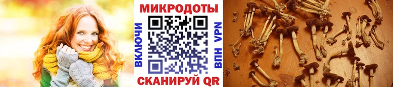 mega ссылки  Нижняя Тура  Галлюциногенные грибы GOLDEN TEACHER  дарнет шоп 